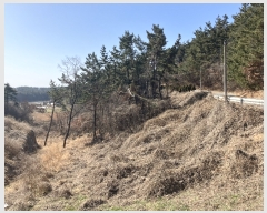  2023Ÿ��793  �����