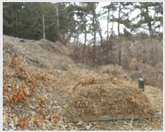  2023Ÿ��793  �����