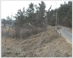  2023Ÿ��793  �����