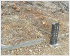  2023Ÿ��793  �����