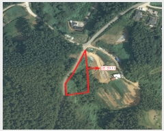  2023Ÿ��793  �����