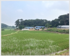  2023Ÿ��3211  ����