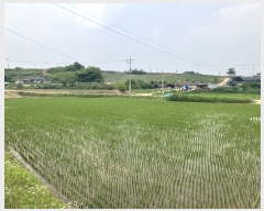  2023Ÿ��3211  ����