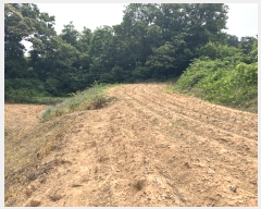  2023Ÿ��3211  ����