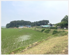  2023Ÿ��3211  ����