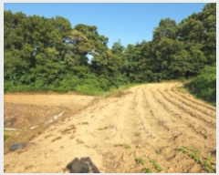  2023Ÿ��3211  ����