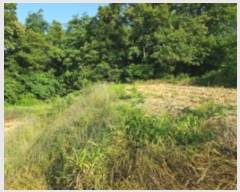  2023Ÿ��3211  ����