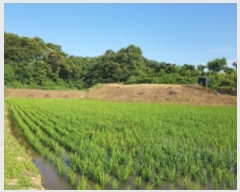  2023Ÿ��3211  ����