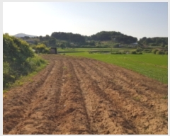  2023Ÿ��3211  ����