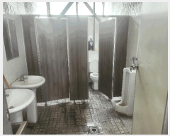  2023Ÿ��51531  ������