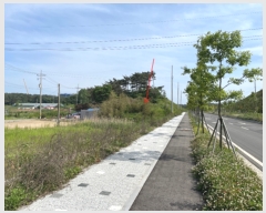  2023Ÿ��53780 �泲 �¾ȱ� �ȸ��� �¾� 244      ����(��1)���