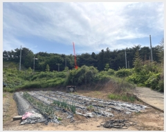  2023Ÿ��53780 �泲 �¾ȱ� �ȸ��� �¾� 244      ����(��1)���