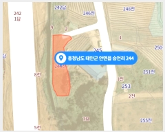  2023Ÿ��53780 �泲 �¾ȱ� �ȸ��� �¾� 244      ����(��1)���