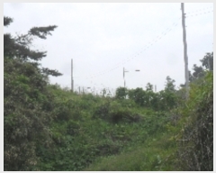  2023Ÿ��53780 �泲 �¾ȱ� �ȸ��� �¾� 244      ����(��1)���