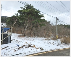  2023Ÿ59351 泲   긮 264-8      (Ӿ)