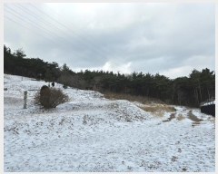  2023Ÿ59351 泲   긮 264-8      (Ӿ)