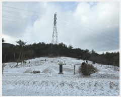  2023Ÿ59351 泲   긮 264-8      (Ӿ)