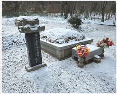  2023Ÿ59351 泲   긮 264-8      (Ӿ)