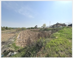  2023Ÿ��1994 �泲 ������ �۾��� �ΰ 305-2      ����(��1)���