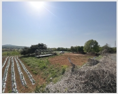  2023Ÿ��1994 �泲 ������ �۾��� �ΰ 305-2      ����(��1)���