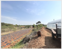  2023Ÿ��1994 �泲 ������ �۾��� �ΰ 305-2      ����(��1)���