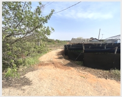  2023Ÿ��1994 �泲 ������ �۾��� �ΰ 305-2      ����(��1)���