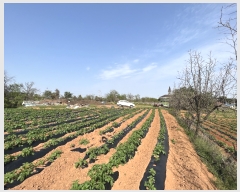  2023Ÿ��1994 �泲 ������ �۾��� �ΰ 305-2      ����(��1)���