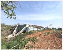  2023Ÿ��1994 �泲 ������ �۾��� �ΰ 305-2      ����(��1)���