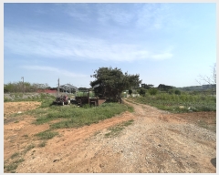  2023Ÿ��1994 �泲 ������ �۾��� �ΰ 305-2      ����(��1)���