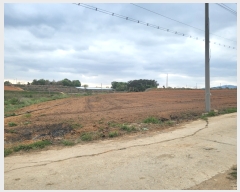  2023Ÿ��53131 �泲 ����� ���ϸ� ��⸮ 397-1      ����(��1)���