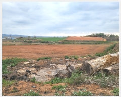  2023Ÿ��53131 �泲 ����� ���ϸ� ��⸮ 397-1      ����(��1)���