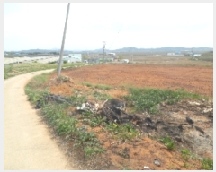  2023Ÿ��53131 �泲 ����� ���ϸ� ��⸮ 397-1      ����(��1)���