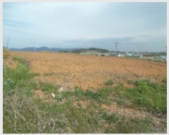  2023Ÿ��53131 �泲 ����� ���ϸ� ��⸮ 397-1      ����(��1)���