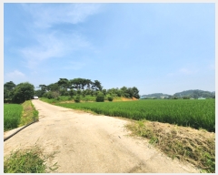  2023Ÿ��55472 �泲 ������ �۾��� ���븮 589-6      ����(�Ӿ�)���