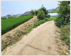  2023Ÿ��55472 �泲 ������ �۾��� ���븮 589-6      ����(�Ӿ�)���