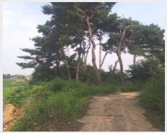  2023Ÿ��55472 �泲 ������ �۾��� ���븮 589-6      ����(�Ӿ�)���