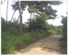  2023Ÿ��55472 �泲 ������ �۾��� ���븮 589-6      ����(�Ӿ�)���