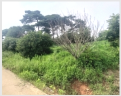  2023Ÿ��55472 �泲 ������ �۾��� ���븮 589-6      ����(�Ӿ�)���