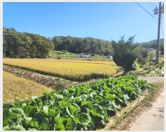  2023Ÿ��57539 �泲 ������ ��ȣ���� ������ 505-8      ����(�Ӿ�)���