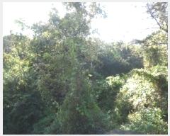  2023Ÿ��57539 �泲 ������ ��ȣ���� ������ 505-8      ����(�Ӿ�)���