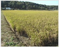  2023Ÿ��57539 �泲 ������ ��ȣ���� ������ 505-8      ����(�Ӿ�)���