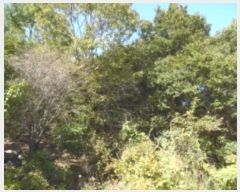  2023Ÿ��57539 �泲 ������ ��ȣ���� ������ 505-8      ����(�Ӿ�)���