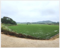  2023Ÿ2959 泲  ۾  690      ()