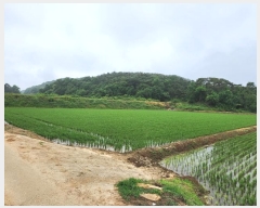  2023Ÿ2959 泲  ۾  690      ()