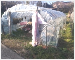  2023Ÿ58679 泲  ε 879-1       (1)