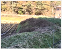  2023Ÿ58679 泲  ε 879-1       (1)