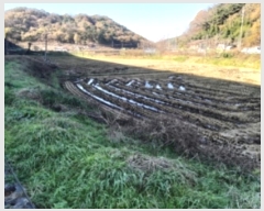  2023Ÿ58679 泲  ε 879-1       (1)