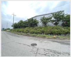  2023Ÿ��53681 �泲 ������ �۾��� û�ݸ� 316-51      ����(�������)���