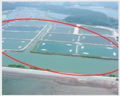  2023Ÿ��54035  �������