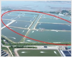  2023Ÿ��54035  �������